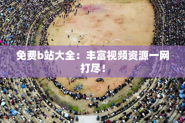 免费b站大全：丰富视频资源一网打尽！