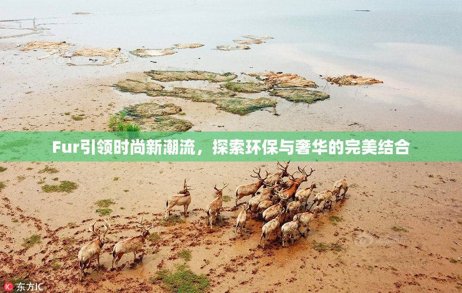 Fur引领时尚新潮流，探索环保与奢华的完美结合