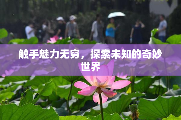 触手魅力无穷，探索未知的奇妙世界