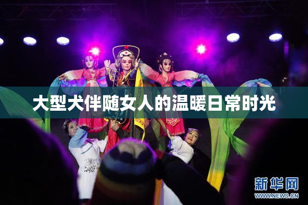 大型犬伴随女人的温暖日常时光