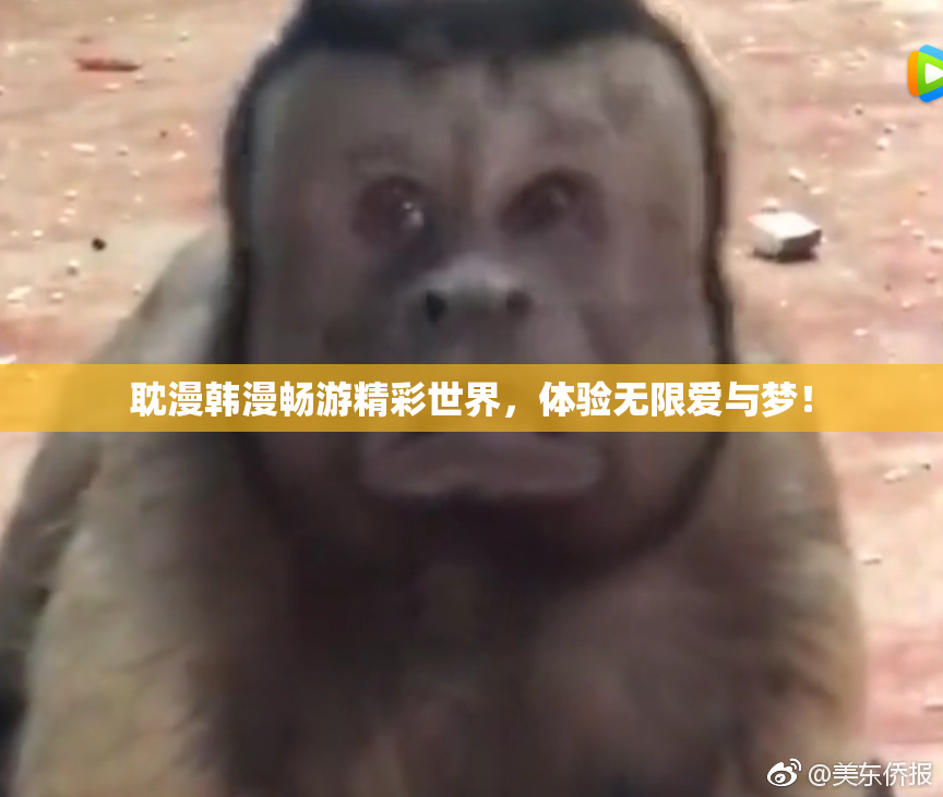 耽漫韩漫畅游精彩世界，体验无限爱与梦！