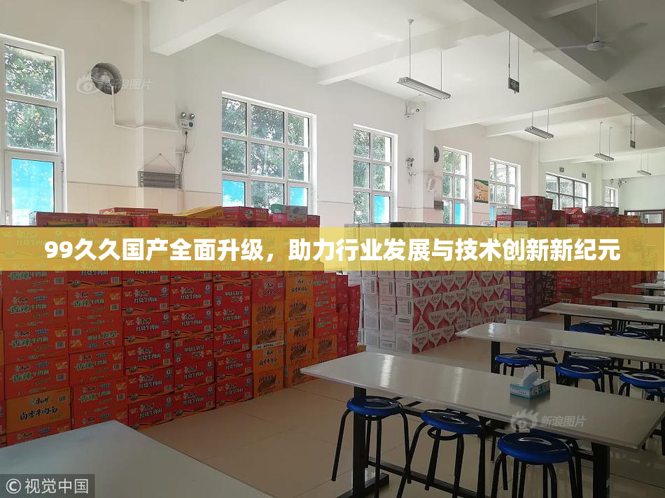99久久国产全面升级，助力行业发展与技术创新新纪元
