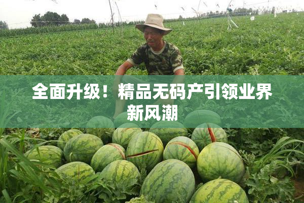 全面升级！精品无码产引领业界新风潮