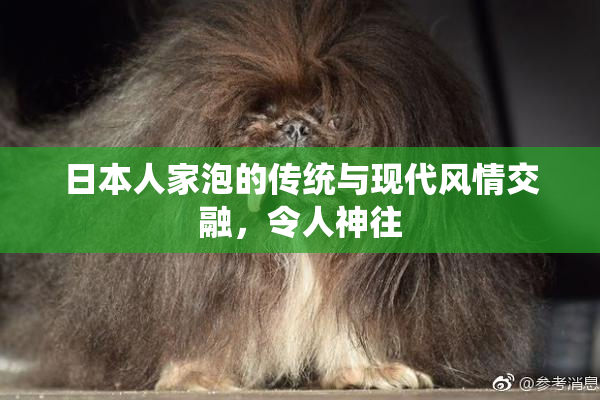 日本人家泡的传统与现代风情交融，令人神往