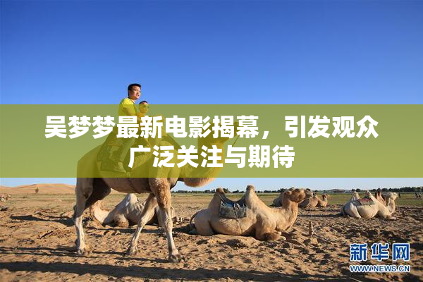 吴梦梦最新电影揭幕，引发观众广泛关注与期待