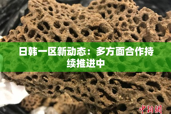 日韩一区新动态：多方面合作持续推进中