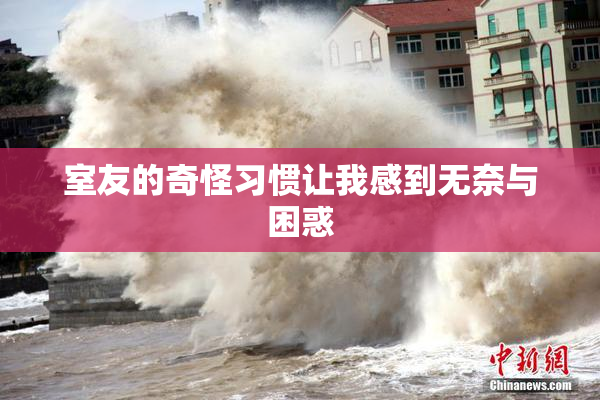 室友的奇怪习惯让我感到无奈与困惑