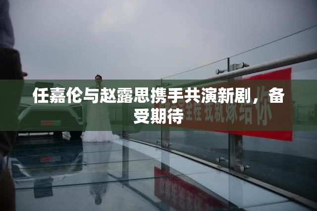 任嘉伦与赵露思携手共演新剧，备受期待