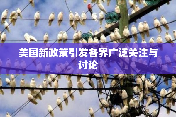 美国新政策引发各界广泛关注与讨论