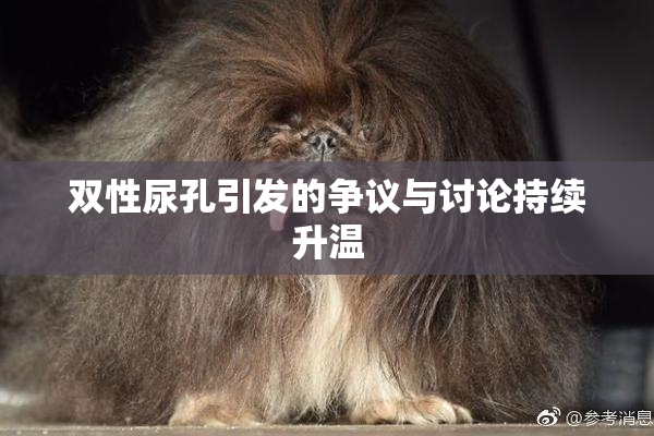 双性尿孔引发的争议与讨论持续升温