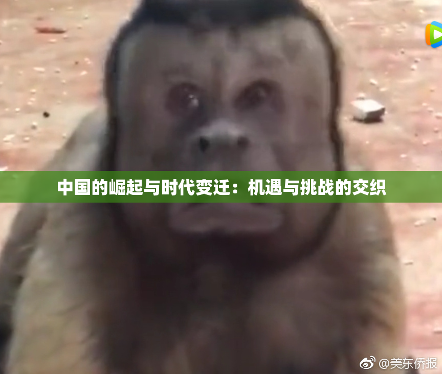 中国的崛起与时代变迁：机遇与挑战的交织