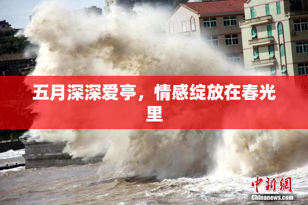 五月深深爱亭，情感绽放在春光里