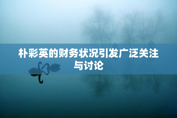 朴彩英的财务状况引发广泛关注与讨论