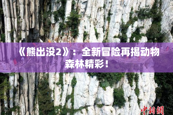《熊出没2》：全新冒险再揭动物森林精彩！