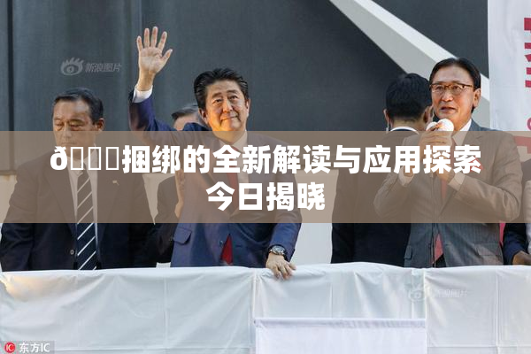 🔞捆绑的全新解读与应用探索今日揭晓