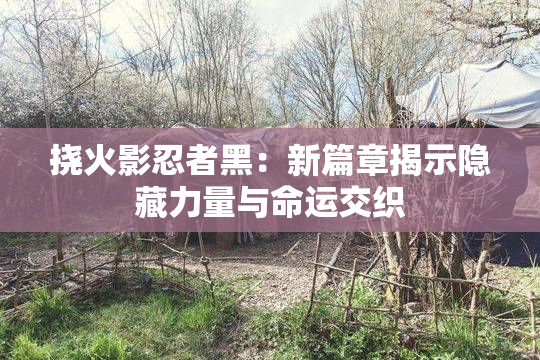 挠火影忍者黑：新篇章揭示隐藏力量与命运交织