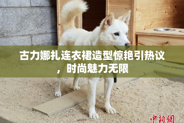 古力娜扎连衣裙造型惊艳引热议，时尚魅力无限