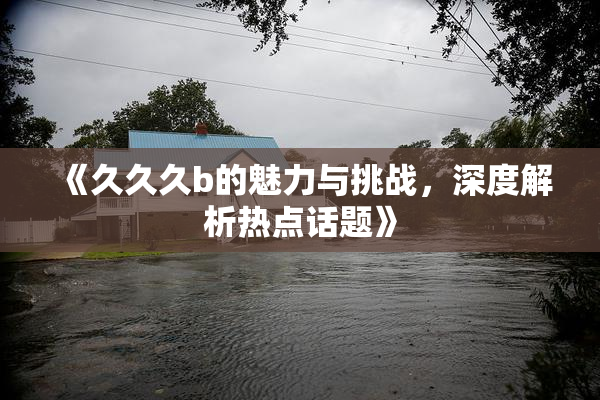 《久久久b的魅力与挑战，深度解析热点话题》