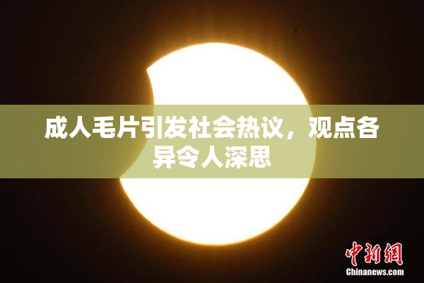 成人毛片引发社会热议，观点各异令人深思