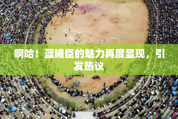 啊哈！蓝曦臣的魅力再度显现，引发热议