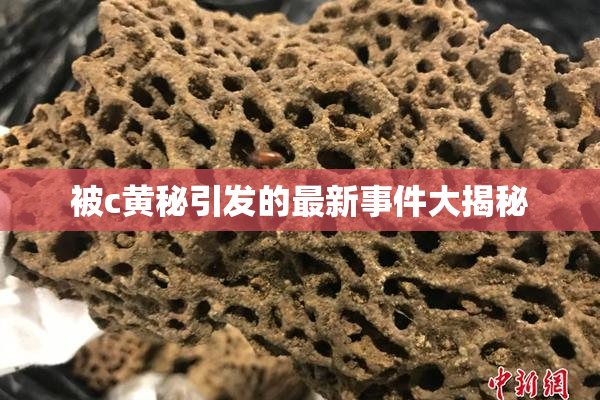 被c黄秘引发的最新事件大揭秘