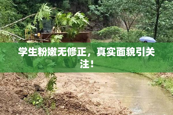 学生粉嫩无修正，真实面貌引关注！