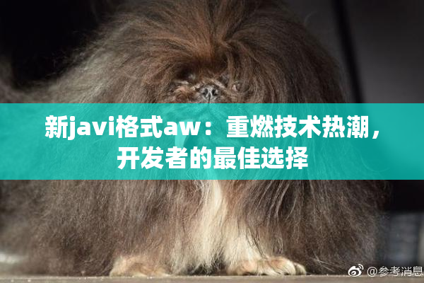 新javi格式aw：重燃技术热潮，开发者的最佳选择