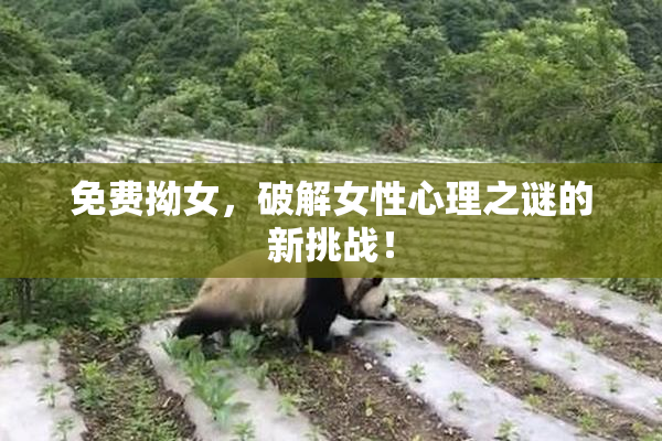 免费拗女，破解女性心理之谜的新挑战！