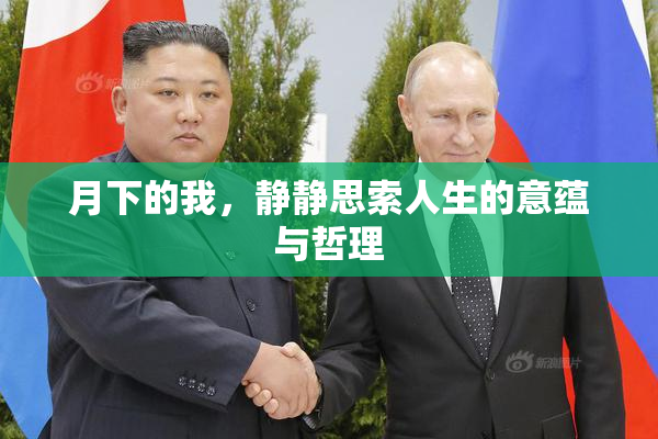 月下的我，静静思索人生的意蕴与哲理