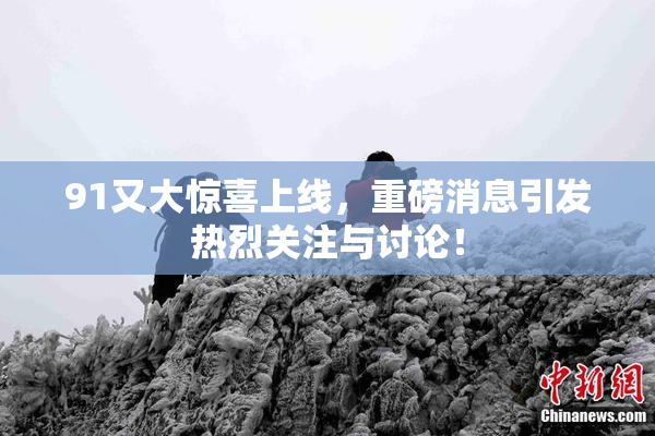 91又大惊喜上线，重磅消息引发热烈关注与讨论！