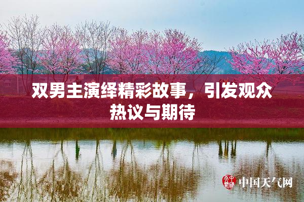 双男主演绎精彩故事，引发观众热议与期待