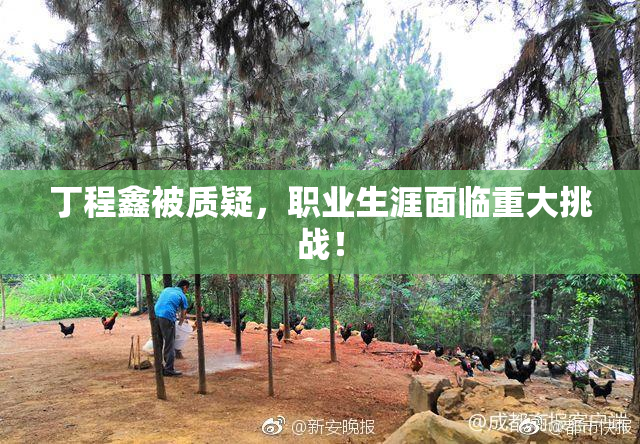 丁程鑫被质疑，职业生涯面临重大挑战！