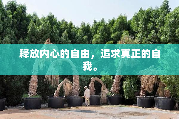 释放内心的自由，追求真正的自我。