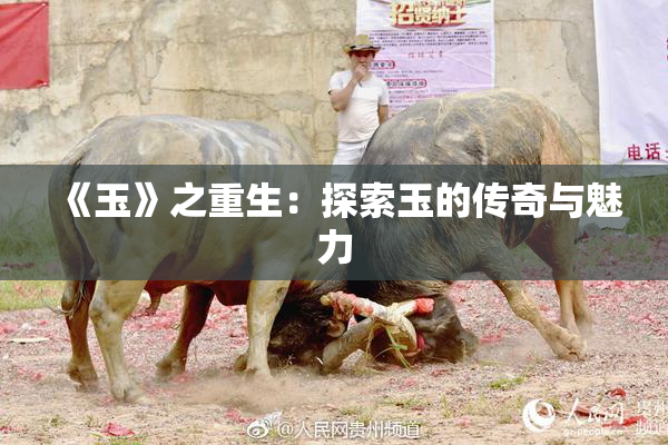 《玉》之重生：探索玉的传奇与魅力