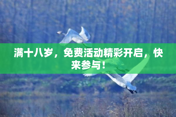 满十八岁，免费活动精彩开启，快来参与！