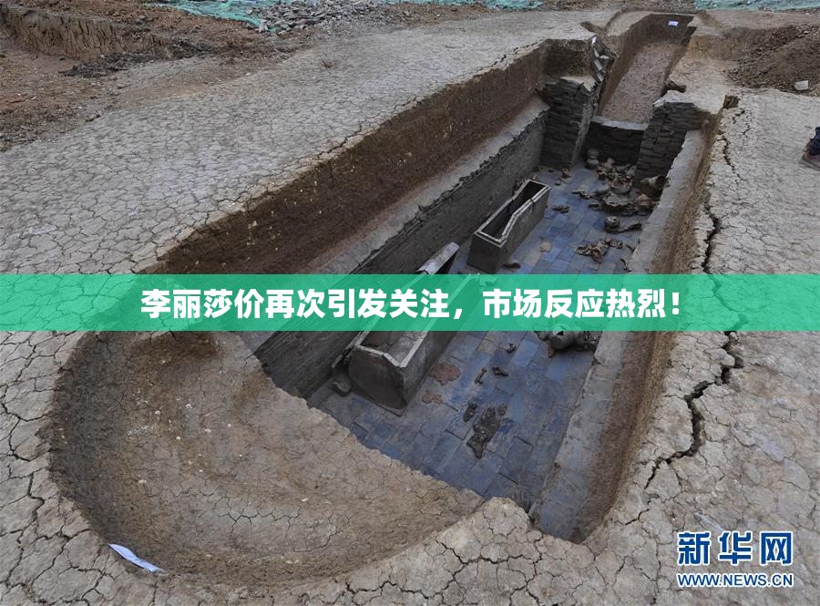 李丽莎价再次引发关注，市场反应热烈！