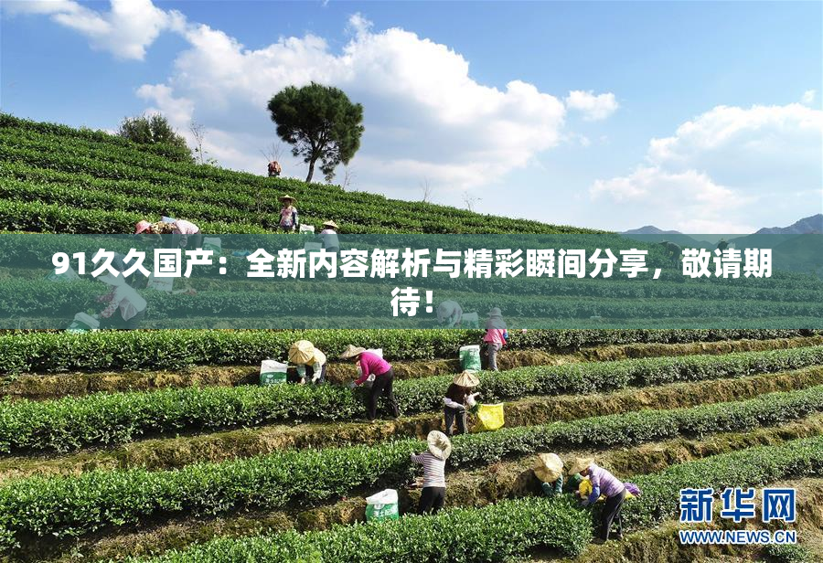 91久久国产：全新内容解析与精彩瞬间分享，敬请期待！