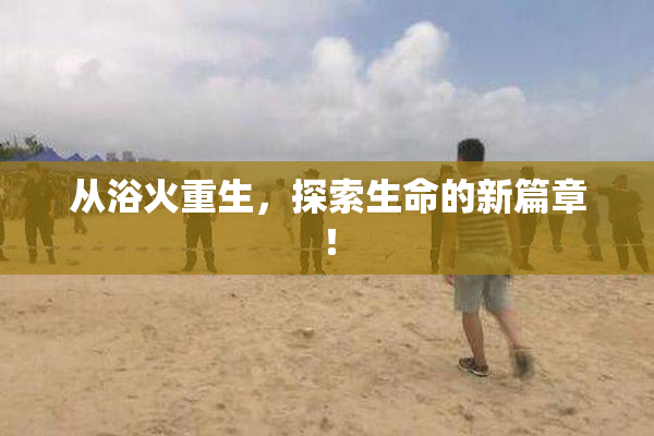从浴火重生，探索生命的新篇章！