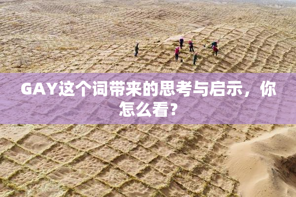 GAY这个词带来的思考与启示，你怎么看？