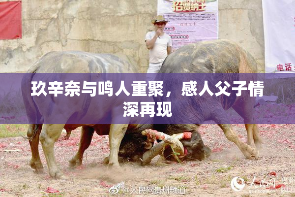 玖辛奈与鸣人重聚，感人父子情深再现