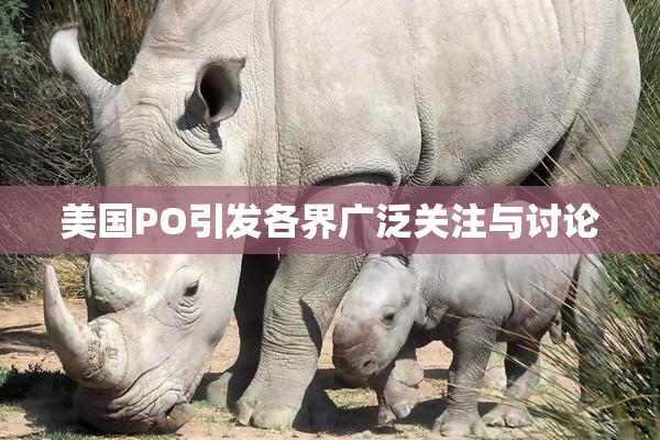 美国PO引发各界广泛关注与讨论