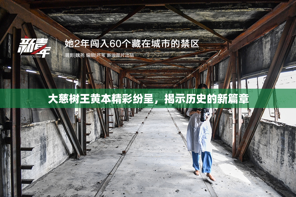 大慈树王黄本精彩纷呈，揭示历史的新篇章
