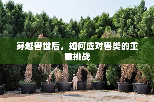 穿越兽世后，如何应对兽类的重重挑战