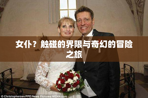 女仆？触碰的界限与奇幻的冒险之旅