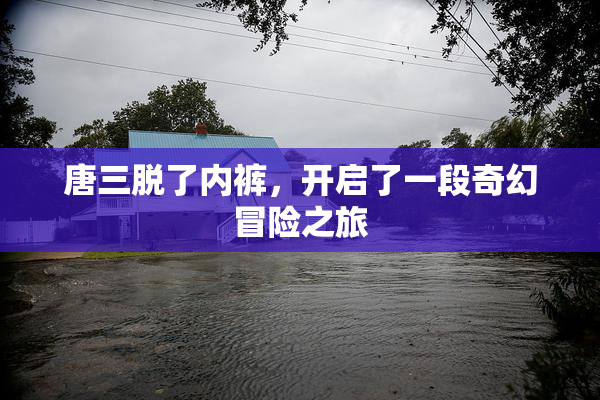 唐三脱了内裤，开启了一段奇幻冒险之旅