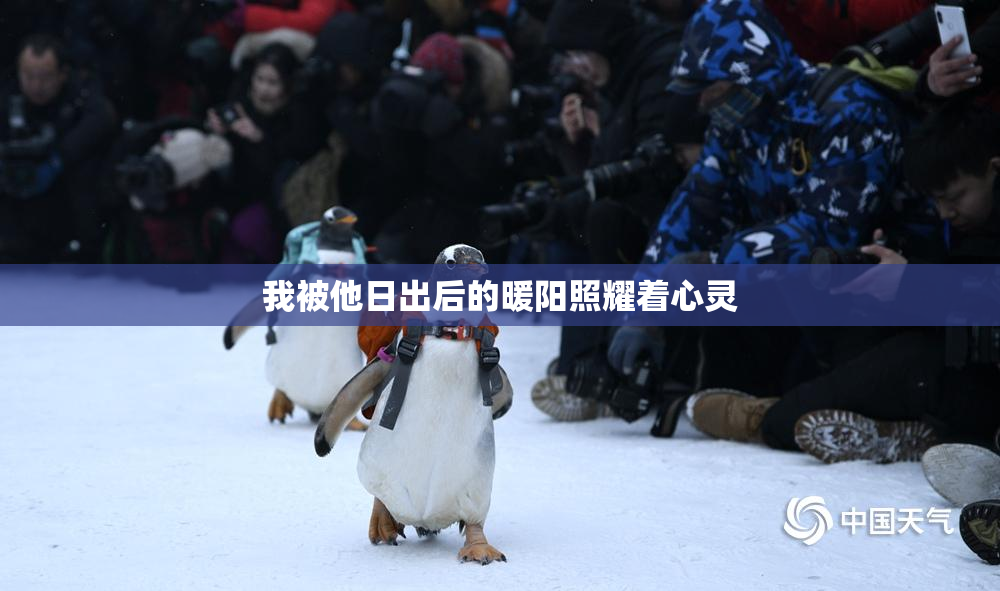 我被他日出后的暖阳照耀着心灵