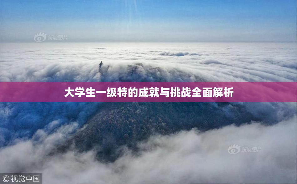 大学生一级特的成就与挑战全面解析