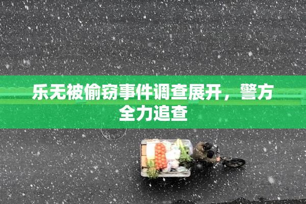 乐无被偷窃事件调查展开，警方全力追查
