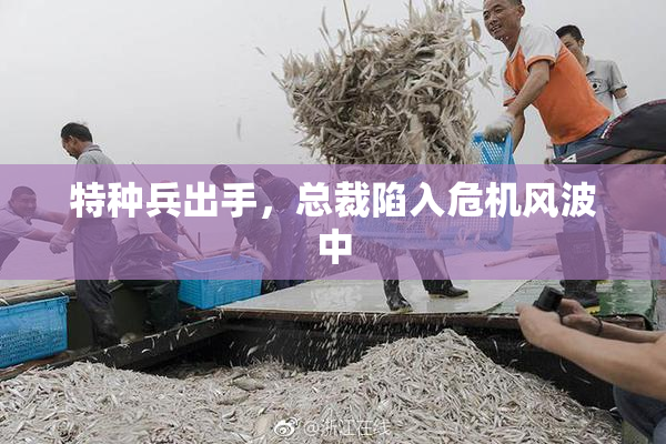 特种兵出手，总裁陷入危机风波中