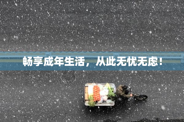 畅享成年生活，从此无忧无虑！